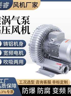 隔爆直连防爆漩涡高压鼓风机FBZ-810粉尘气体输送管道循环5.5千瓦