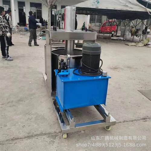 商用水果汁液压榨机不锈钢果蔬压榨提取机菠萝沙棘果过滤压榨机