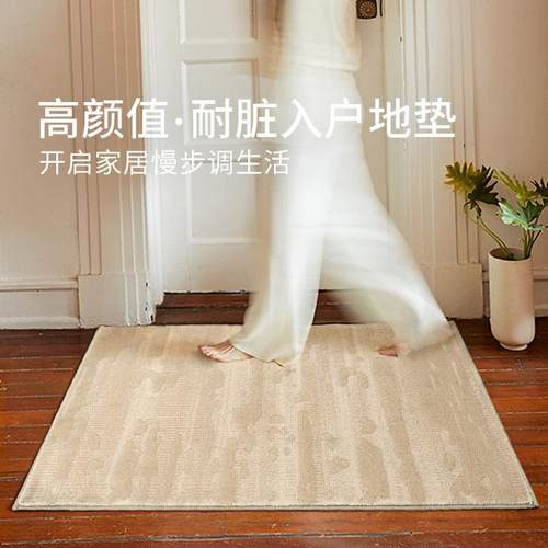 防水抗污|地垫入户门垫现代简约高级感家用耐脏脚垫轻奢门外地毯