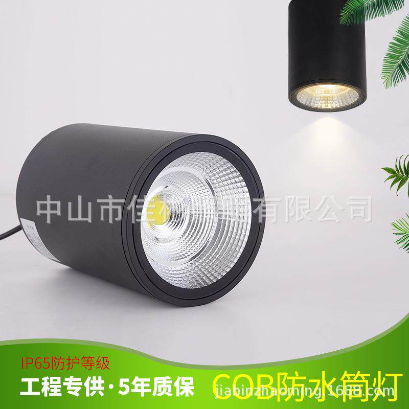 LED防水明装筒灯户外防水应急筒灯酒店雨棚灯天棚灯高铁站台灯