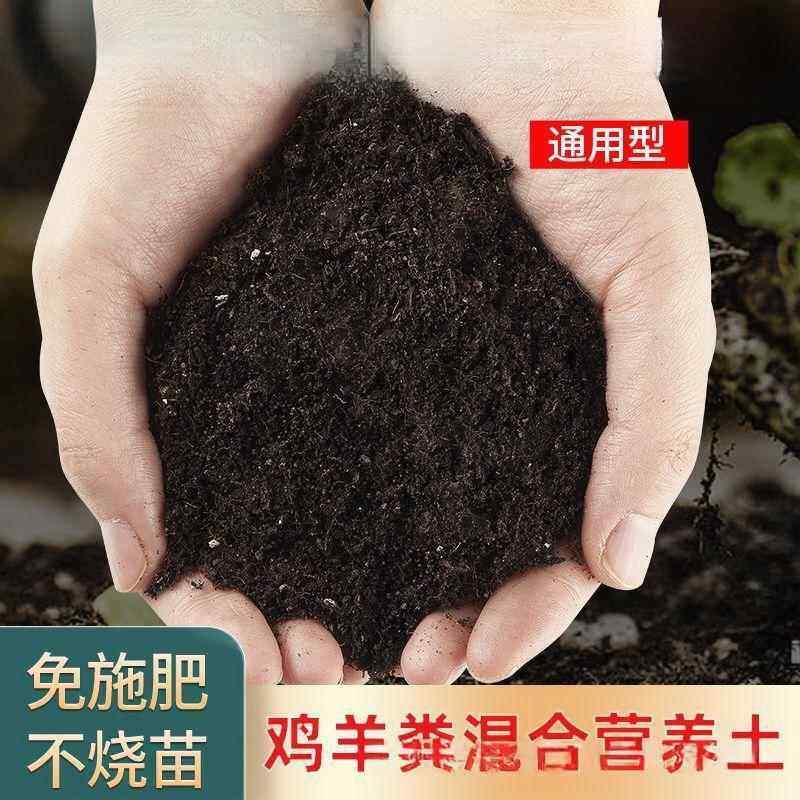 营养土通用型有机家用养花种菜多肉绿萝种植土壤自发酵专用土