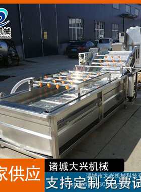 商用哈密瓜果蔬气泡清洗机去农残果蔬气泡清洗机葡萄气泡清洗机