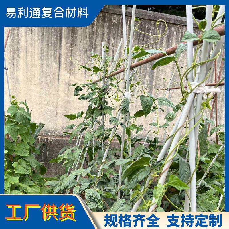 玻璃纤维杆植物攀爬架丝瓜黄瓜豆角葡萄爬藤架杆A级玻璃纤维