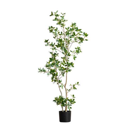 侘寂风仿真绿植冬青树室内客厅装饰落地假植物盆栽橱窗造景摆件