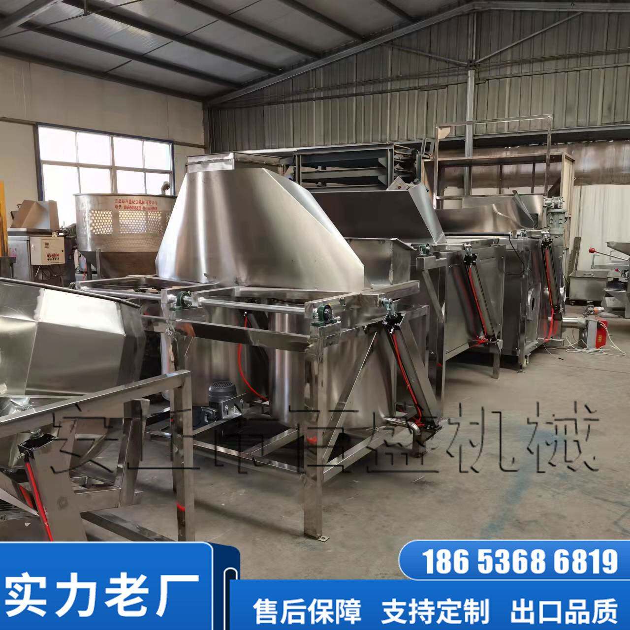 可定制 油炸香酥蚕豆生产线 兰花豆设备 黄金豆豌豆加工机器