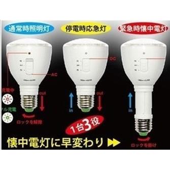 led灯 LED应急球泡灯4w雾面型可充电 LED灯泡可伸缩手电筒节能