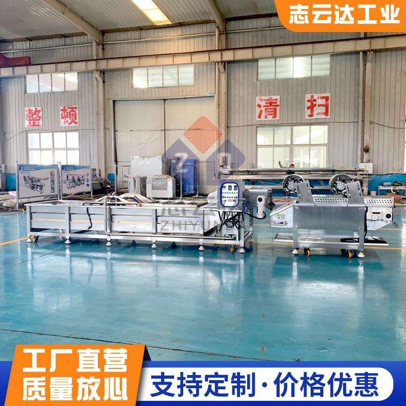 现货山楂清洗机 商用全自动果蔬清洗风干流水线 糖葫芦制作清洗机
