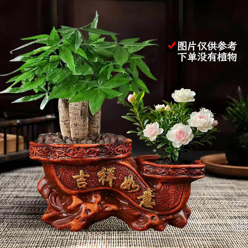 花盆陶瓷双口盆带托盘创意长方形发财树多肉文竹古典复古盆栽盆景