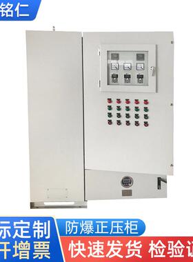通风型防正压柜PLC变频控制柜防爆机柜不锈钢防爆配电柜防雨机柜