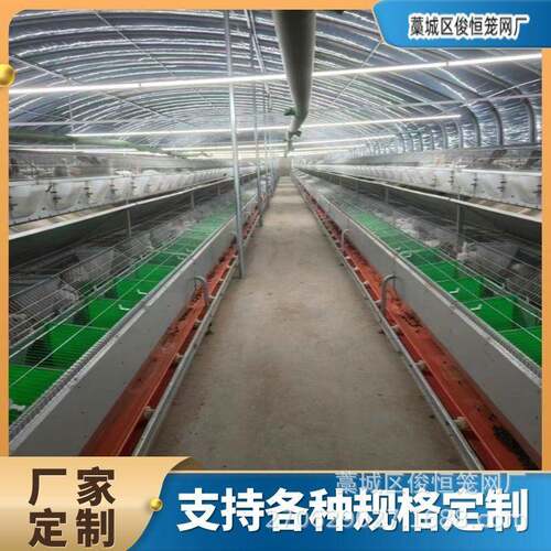 定制兔笼欧式兔笼定制多种规格兔笼自动化兔笼欧式繁育笼热镀锌