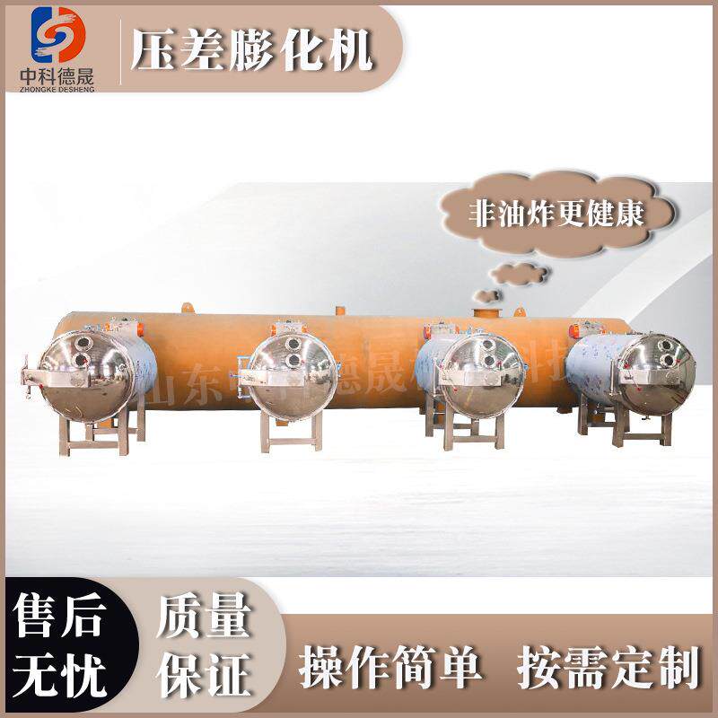 大枣香蕉片猕猴桃片膨化无油干燥机全自动果蔬脆片物理膨化设备