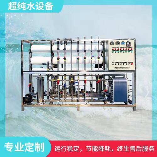 10吨双级反渗透+EDI超纯水设备工业去离子超纯水机水处理设备厂家