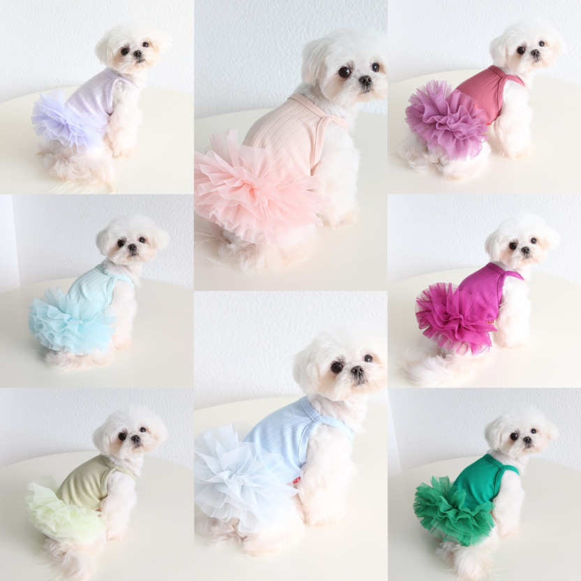 Petstyle 清凉一夏蓬蓬纱裙 2024春夏新款 狗狗猫咪服装宠物衣服