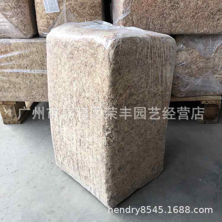 智利5星红草 干水苔 干苔藓 水草 爬虫 兰花 微景观 食虫植物用