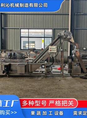 大型气泡清洗机水果蔬菜冲浪式清洗机304不锈钢净菜加工设备