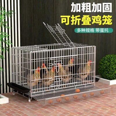 鸡下蛋的笼子养鸡专用笼子大室外养鸡棚不锈钢养鸡笼家用养鸡专用