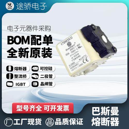 170M3531 170M3532 170M3533 170M3534 bussmann伊顿巴斯曼熔断器