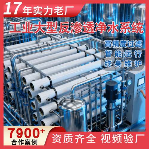 工业净水设备 二级反渗透装置 高脱盐除盐系统 1-百吨净化水设备