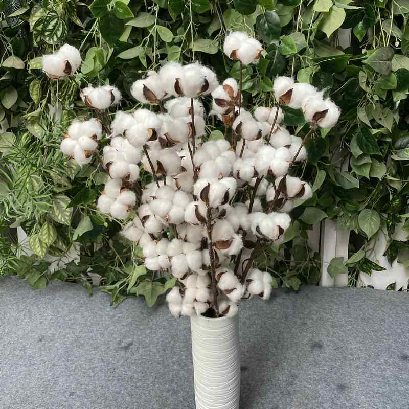 植物木棉棉花枝 DIY花束装饰道具 5头7头干花棉花 假花摄影道具