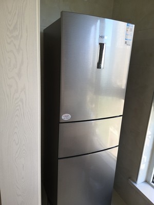 咨询:海尔BCD-216WDPX风怎么样,用后6个月感受,真相大爆料!!