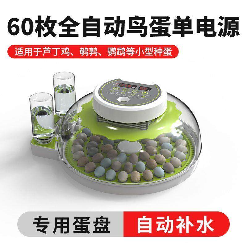 孵化器小型家用型全自动智能鹦鹉鸽子鸟蛋专用小飞碟孵蛋器孵化箱