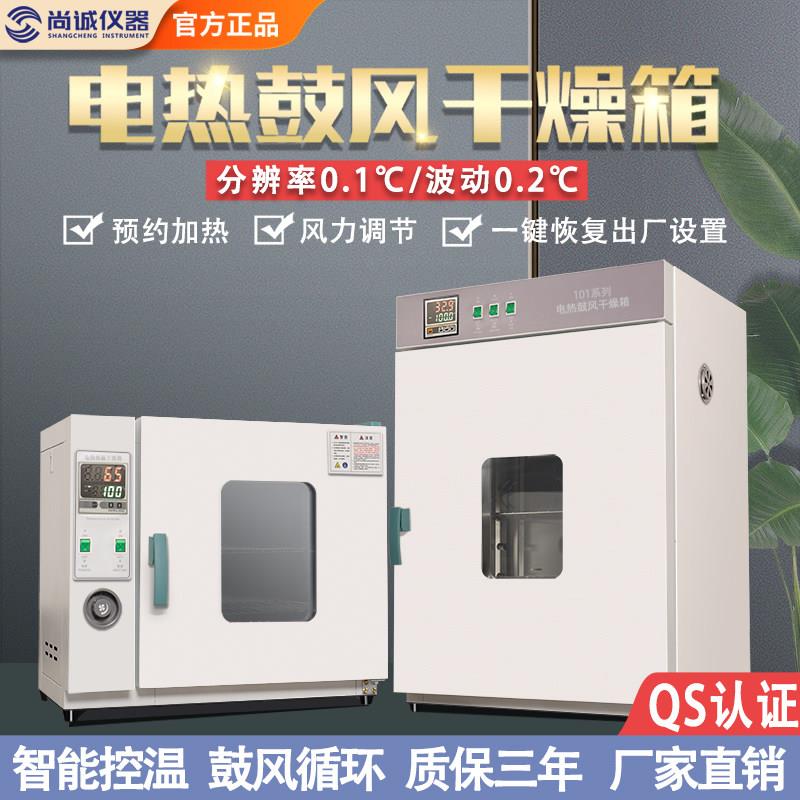 电热恒温鼓风干 干燥箱高温加热小型工业烤箱医用烘干 干机实验室