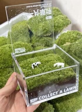 手里有块地牛马私人草坪工位桌面绿植苔藓微景观解压摆件礼物
