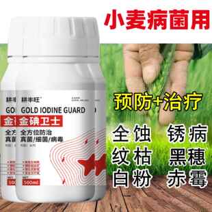 小麦病全治小麦杀菌剂纹枯病白粉病锈病赤霉病全蚀病根腐病黑穗病