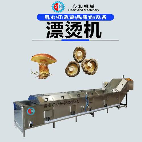 大型竹笋蒸煮机 山野单杀青漂烫机 心和连续式预煮流水线设备