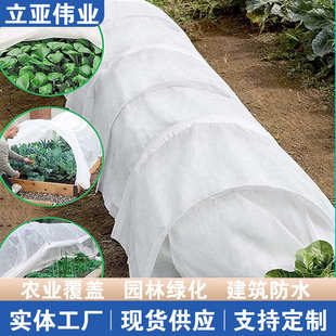 蔬菜植物覆盖布农业 20g育苗无纺布植物防冻盖纺粘无纺布厂家冬季