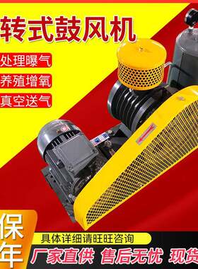 厂家低噪声回转式鼓风机医院污水处理增氧曝气回转式风机曝气风机