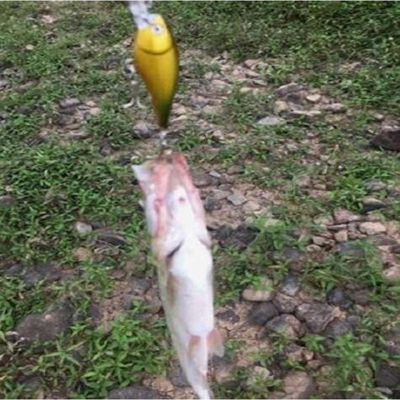 路亚饵套装一整套新手拟饵淡海水马口亮片鱼饵全套组合装