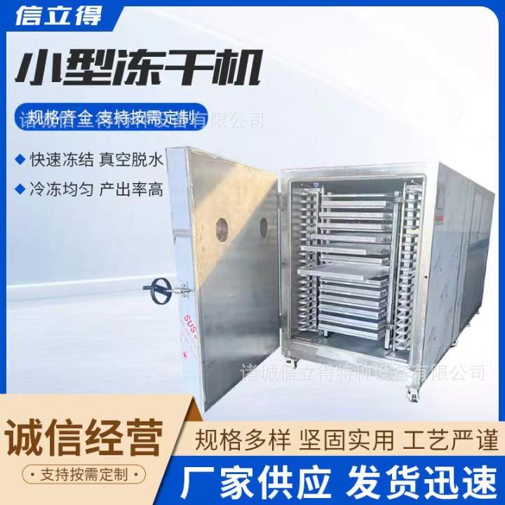 真空干机蔬脆冻干机宠物食品真空冷冻干冻燥机10平果米现货