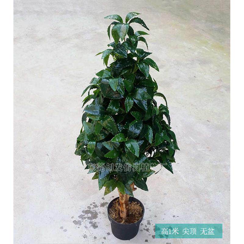 植喜庆圣诞树盆栽小树绿植物 厂家树叶 圆形定制假装饰仿真 月桂