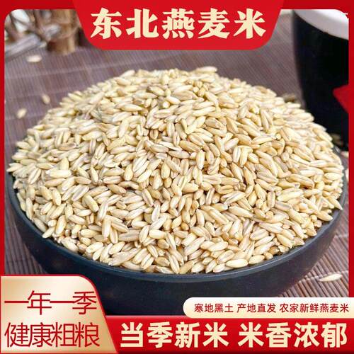 黑龙江燕麦米东北五谷杂粮燕麦仁燕麦粥原料早餐粥代餐胚芽米5斤