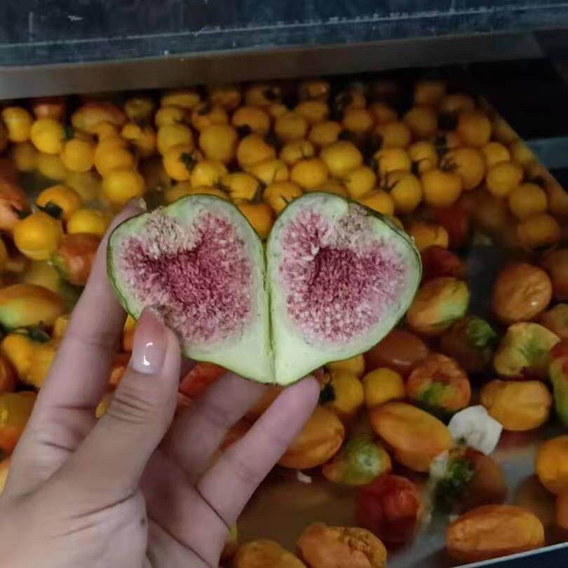 果蔬脆食品果蔬宠物零食真空冻干机全自动FD榴莲草莓真空冻干机