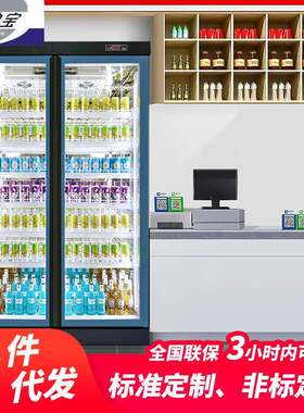 雅绅宝厂家直供超市饮料柜商用冷柜便利店立式双门啤酒冷藏柜设备