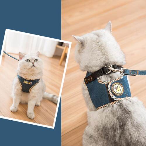 直销新款猫咪牵引绳防挣脱外出遛猫绳猫链背心胸背带绳子泰迪比熊