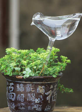 透明玻璃小鸟浇花器创意懒人自动渗水浇花器家用绿植盆栽园艺用品