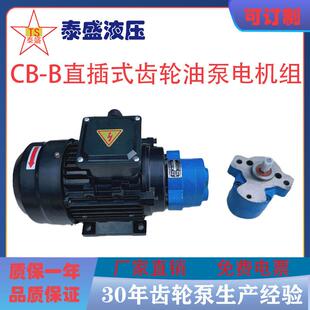 0.37 0.55KW润滑 B2.5JZ B10R锯床齿轮油泵电机组CBW