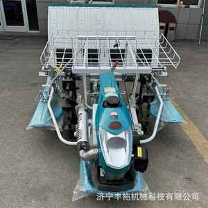 油步进式手扶插秧机4VOV6行高汽速精准四冲程行稻种水植机秧苗移