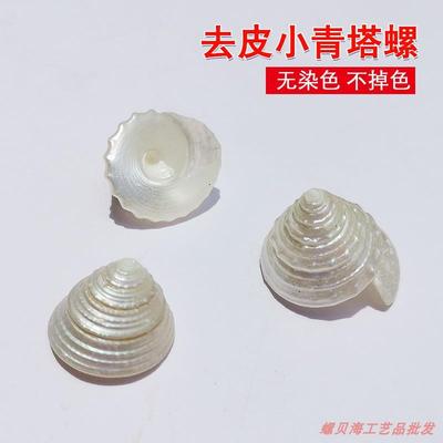 天然贝壳海螺去皮小青塔螺白塔螺家居摆设道具鱼缸族造景材料diy