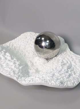 色现代简几约白珊瑚果餐盘创意家居样板房别珊瑚果盘墅桌茶托盘摆