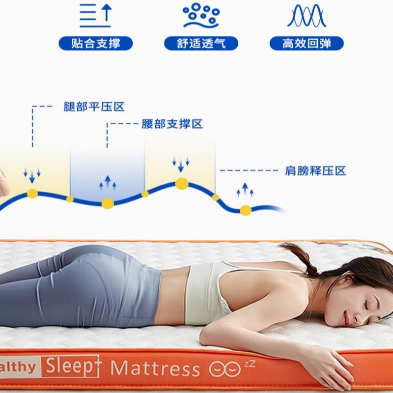 a记忆棉乳胶床类垫榻学宿舍生软垫榻米床垫子褥RVI子单双人海绵床