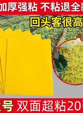 粘虫板黄板双面大棚果园家用蔬菜防虫贴蓝色针锋贴果蝇蓝板庭院