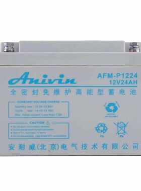 ANIVIN蓄电池AFM-P1224安耐威12V24AH电梯安防医疗设备UPS电源用