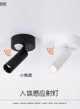 人体感应一束小角度光明装聚光灯入户玄关射灯吸顶式3度8度氛围灯