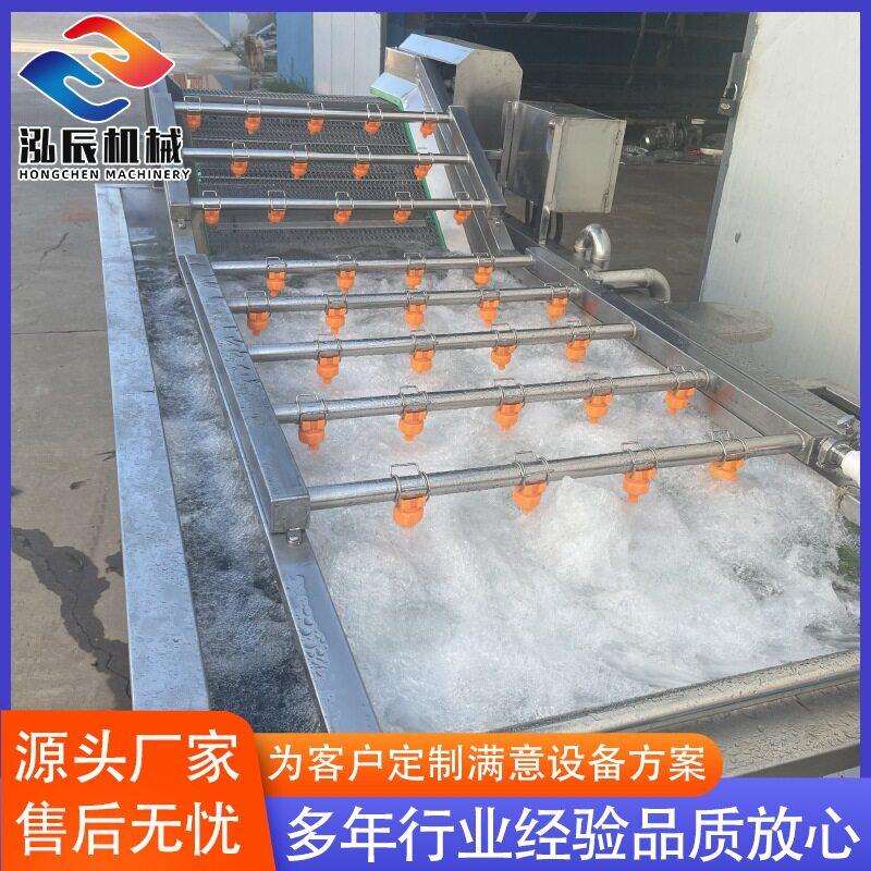气泡清洗机大头菜娃娃菜喷淋式清洗设备大型不锈钢果蔬清洗线