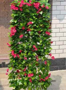 仿真手喇叭牵花牛花壁挂绢花藤条空调工A-2232道装饰花管藤