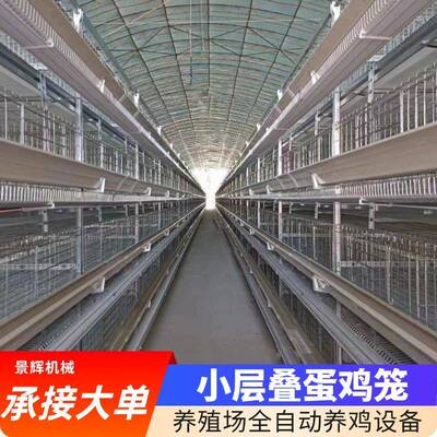 全自动小层叠蛋鸡笼生产厂家自动化捡蛋喂料清粪热镀锌丝鸡笼